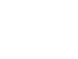 100% Ökostrom